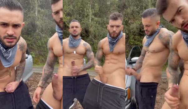 Horny brothers jerked off on their way back from the rave