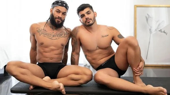 Andy pounds vitor ? andy rodrigues, vitor alves