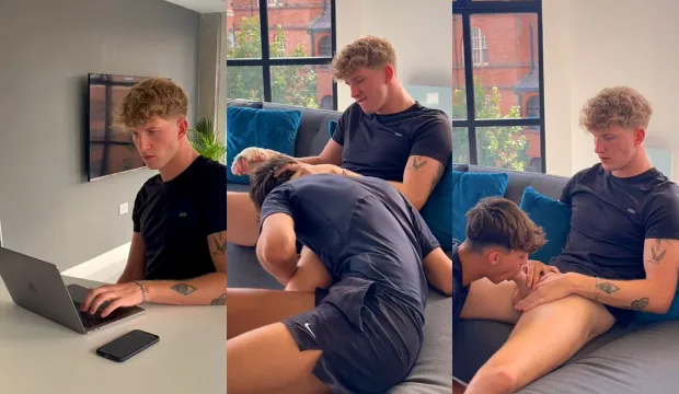The stallion was studying but felt like cumming